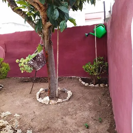 Nonno Ciccio Apartamento