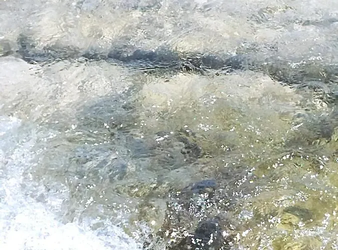 Nonno Ciccio 아파트 *