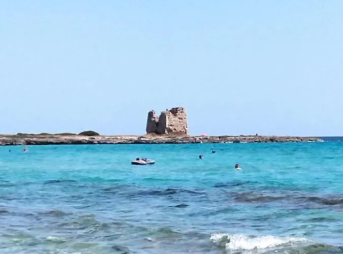 Nonno Ciccio * 리짜노